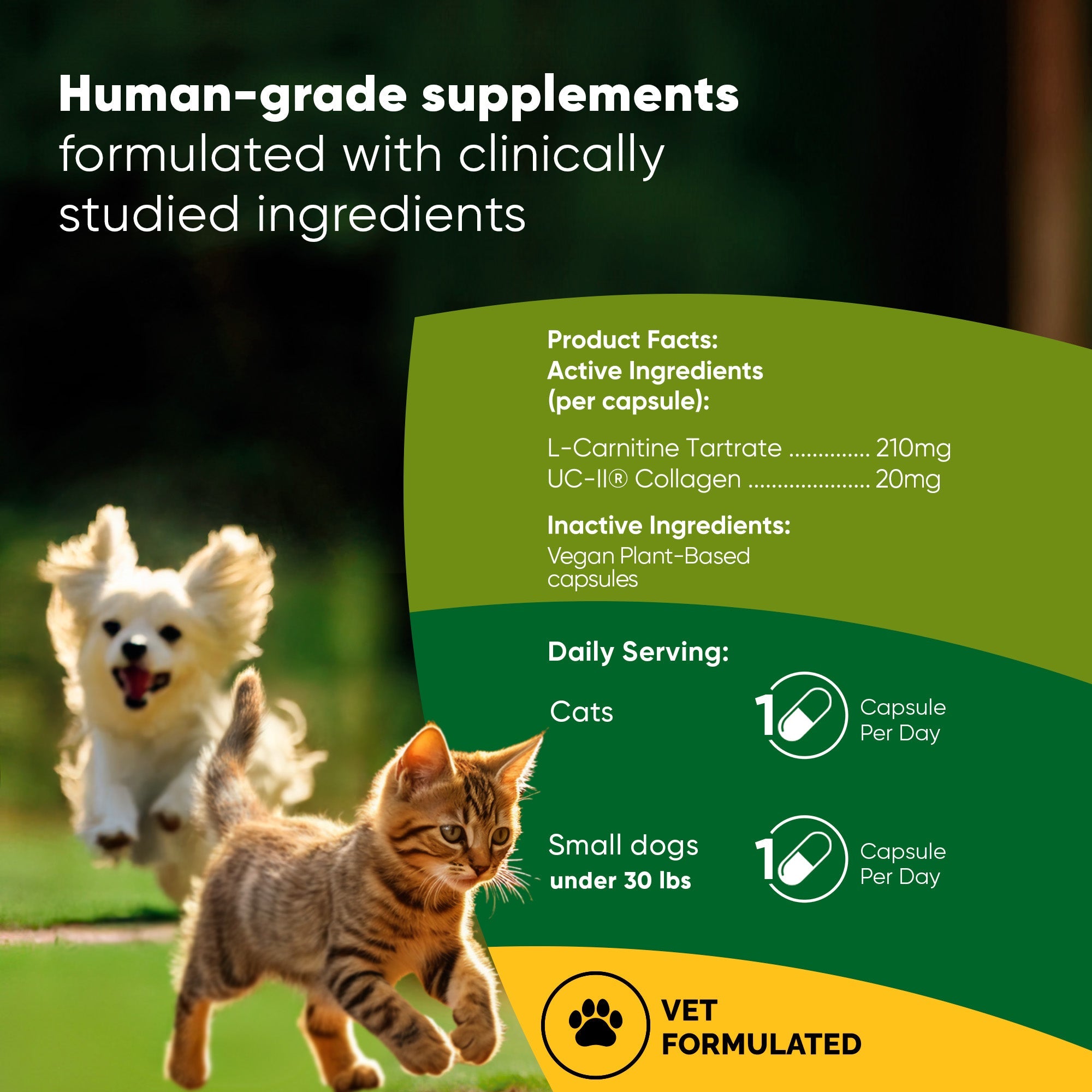 Rooted Owl Pet Supplements joint and muscle health supplement for cats and small dogs, showing the product packaging with tablets.