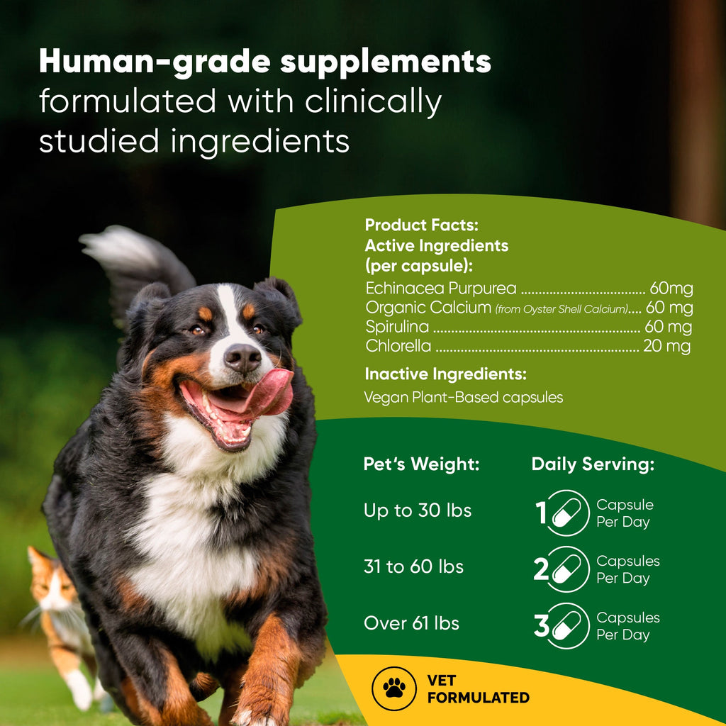 Natural Immunity supplement for cats and dogs by Rooted Owl Pet Supplements, featuring a natural health product for pets.