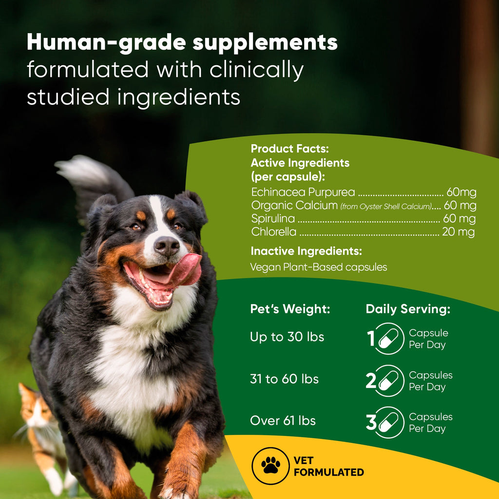 Bottle of Rooted Owl Pet Supplements Spirulina and Chlorella tablets for cats and dogs, with fresh green spirulina and chlorella algae.