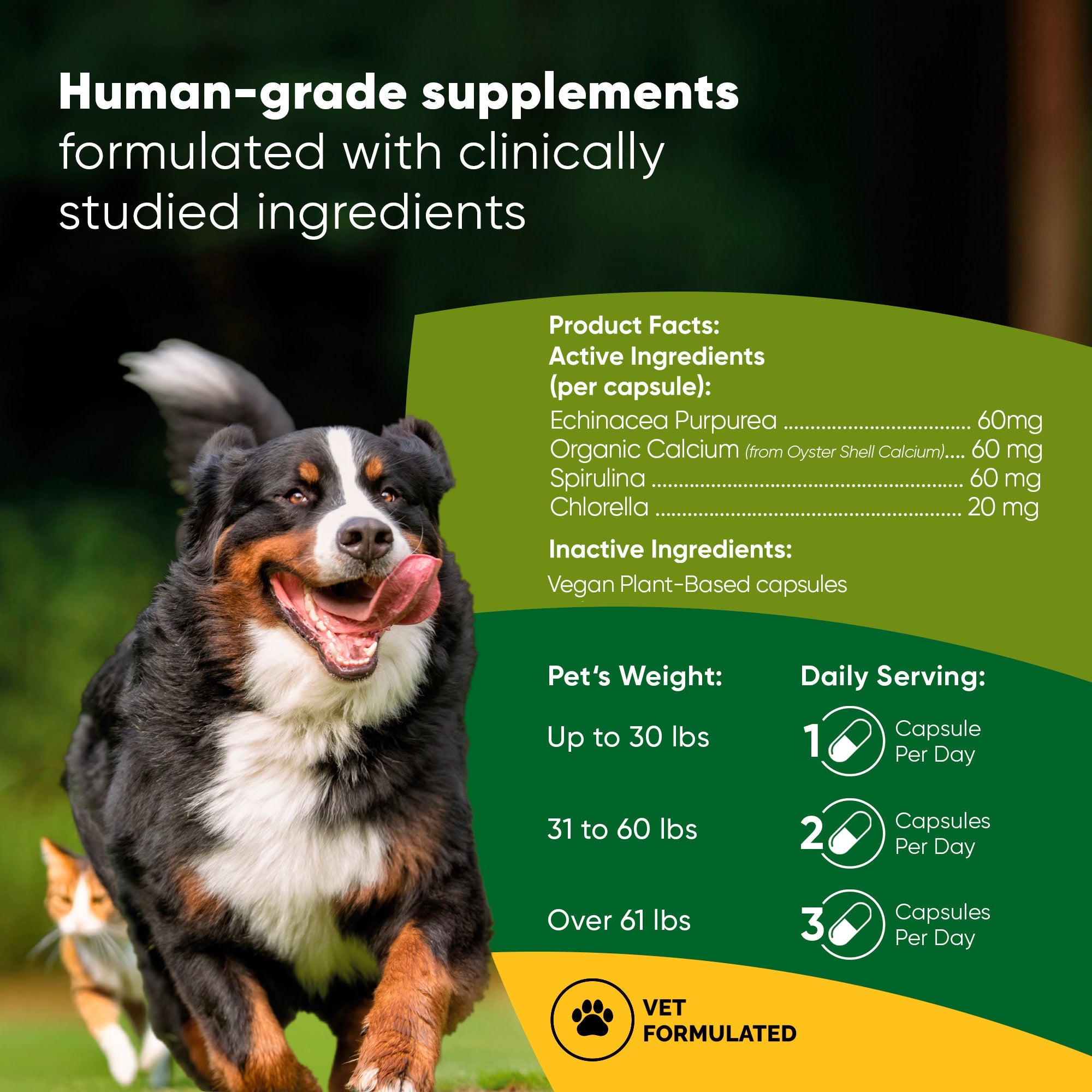 Bottle of Rooted Owl Pet Supplements Spirulina and Chlorella tablets for cats and dogs, with fresh green spirulina and chlorella algae.