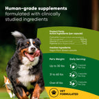 Rooted Owl Pet Supplements turmeric supplement for cats and dogs, showing the turmeric powder in a container with fresh turmeric roots.