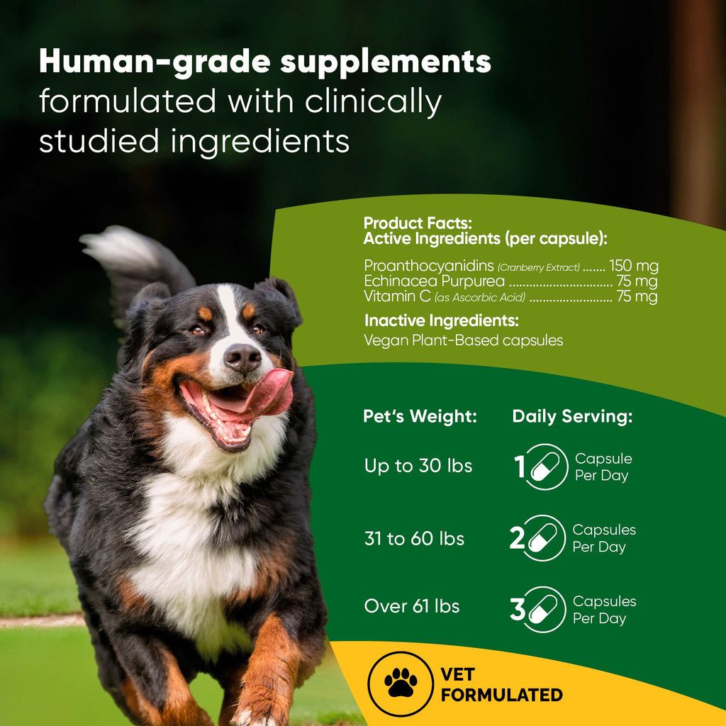 Dog urinary support supplement by Rooted Owl Pet Supplements, featuring packaging with natural ingredients and product branding.