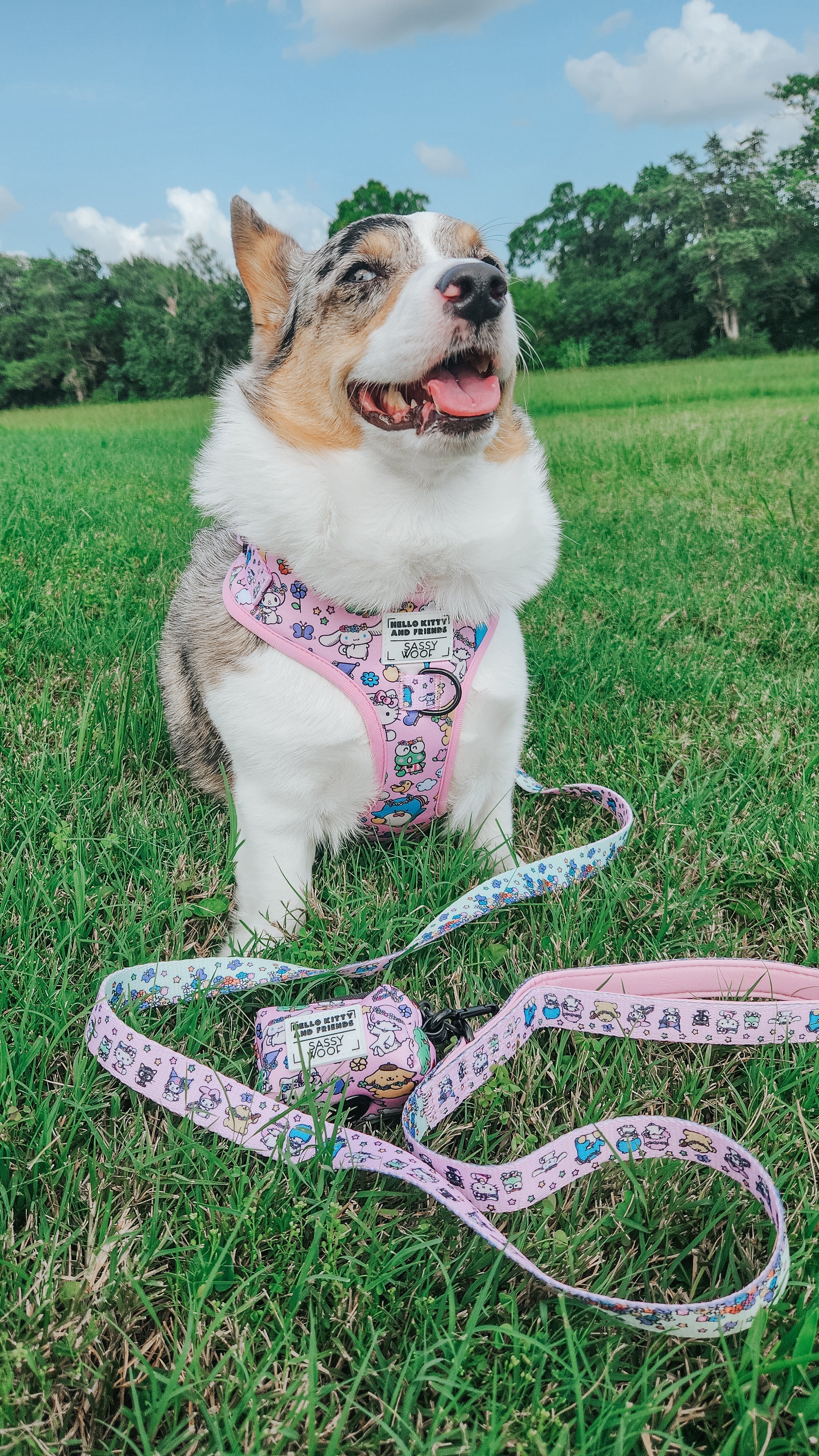 Sassy Woof Dog Two Piece Bundle with Hello Kitty® and Friends Flower Festival pet collars and harnesses on a white background.