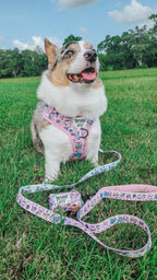 Sassy Woof Hello Kitty® & Friends Flower Festival dog leash featuring colorful floral design and adorable character graphics.