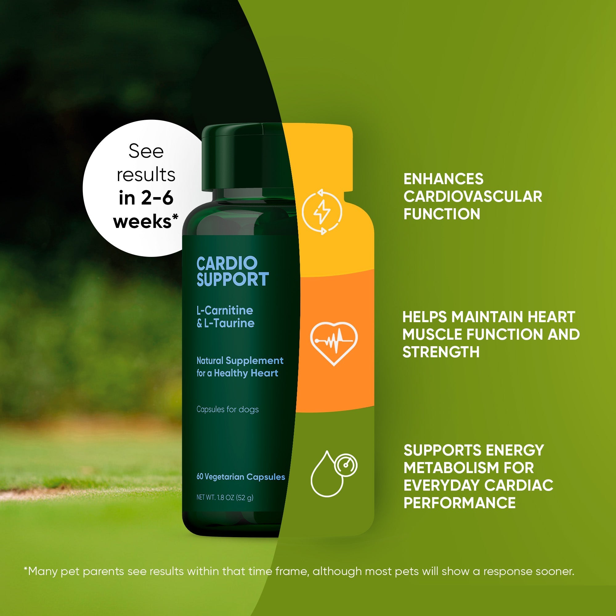 Two bottles of Rooted Owl Pet Supplements Cardio Support for dogs, featuring labels with heart and dog graphics.