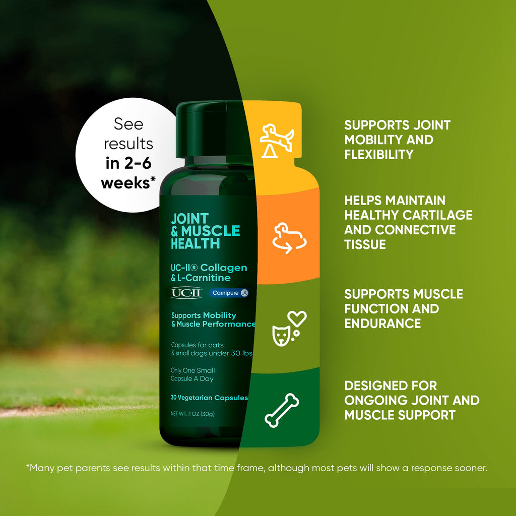 Rooted Owl Pet Supplements joint and muscle health supplement for cats and small dogs, featuring natural ingredients in a clear container.