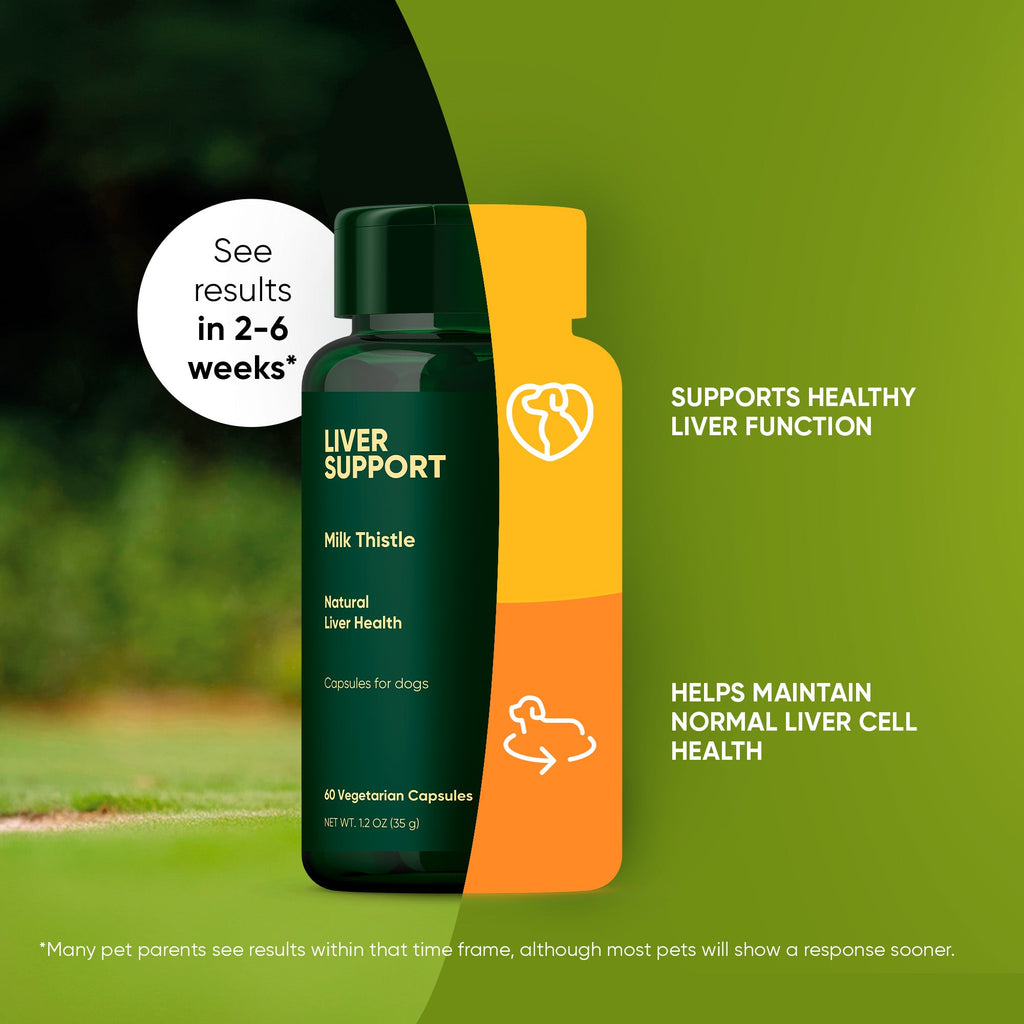 Two bottles of Rooted Owl Pet Supplements Liver Support for dogs, featuring labels with natural ingredients and health benefits.