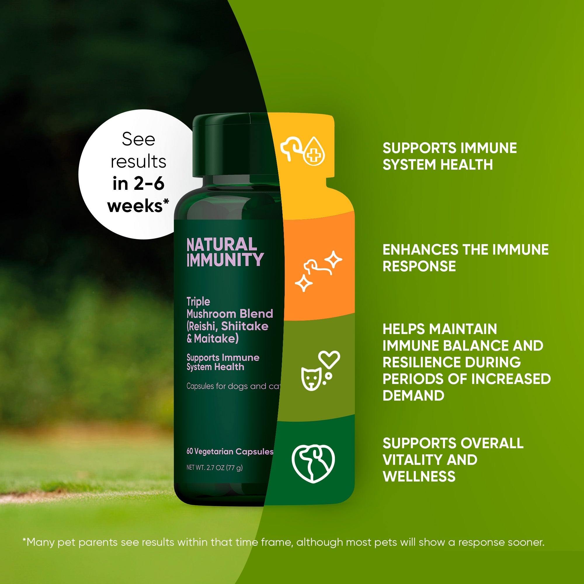 Natural Immunity supplement for cats and dogs by Rooted Owl Pet Supplements, showing the product packaging and tablets.