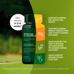 Container of Rooted Owl Pet Supplements Spirulina & Chlorella powder for cats and dogs, showing the green supplement in a jar.