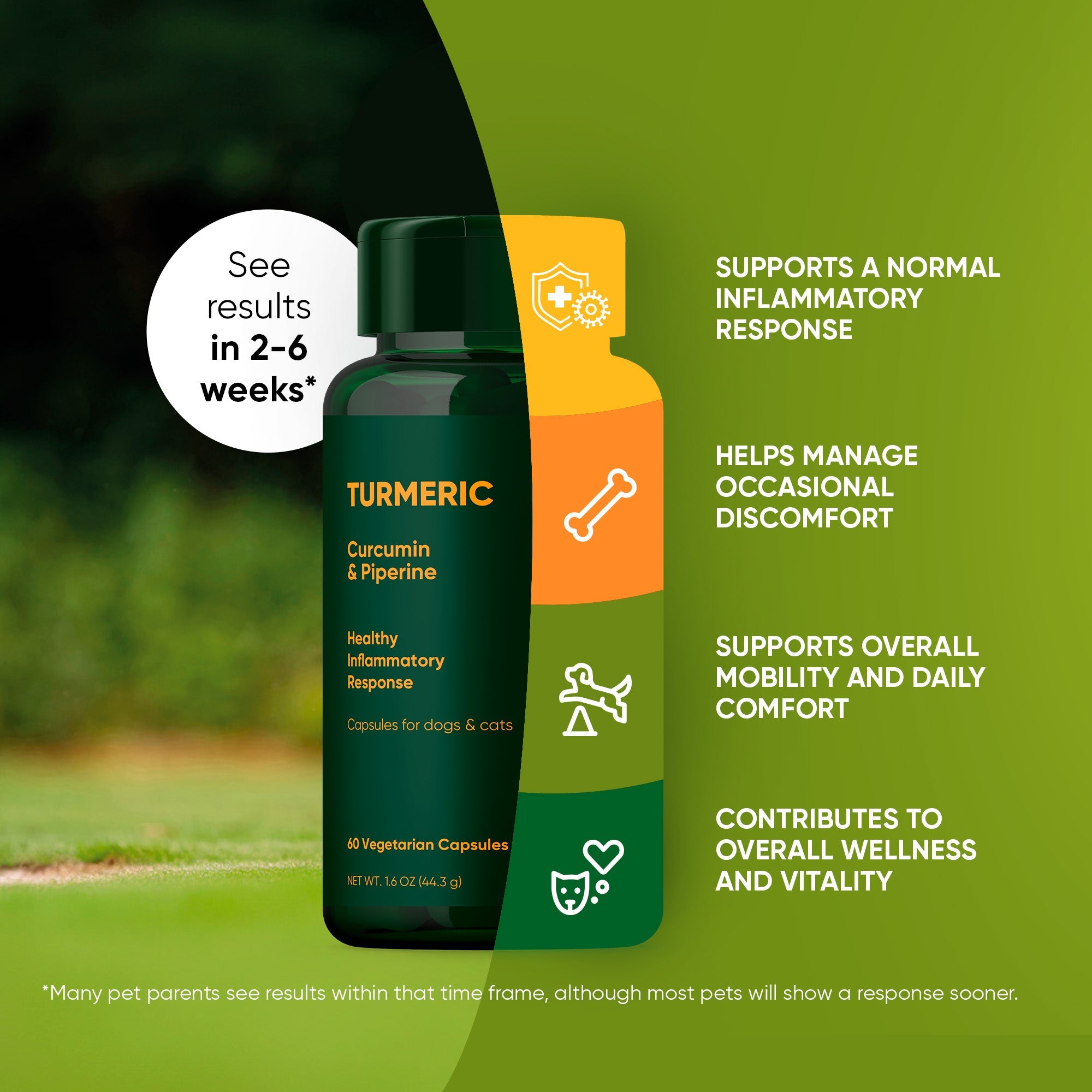 Rooted Owl Pet Supplements turmeric for cats and dogs, showing fresh turmeric root and powder in a natural setting.