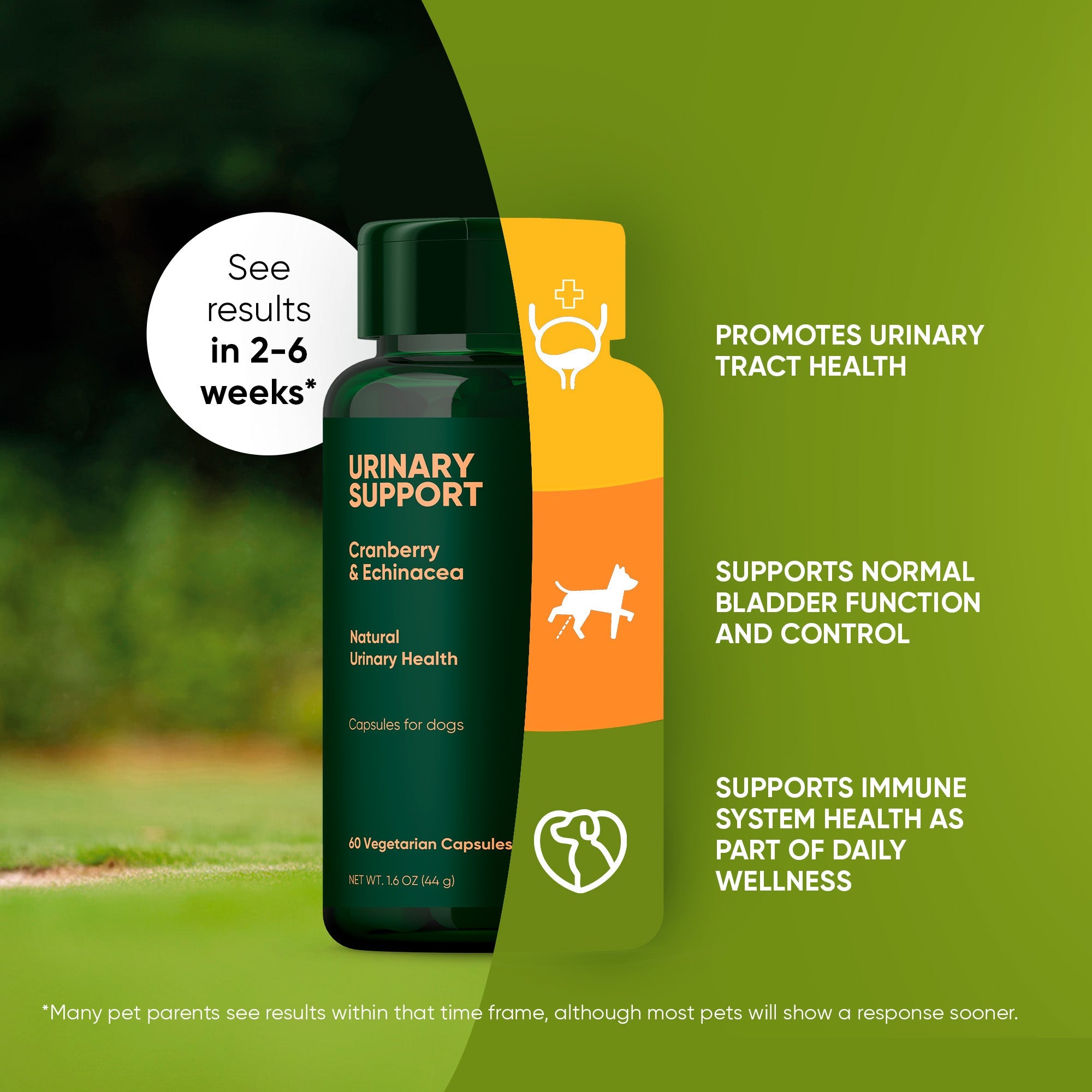 Dog urinary support supplement from Rooted Owl Pet Supplements, showing a container of the product with natural ingredients.