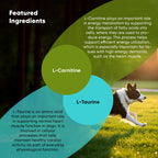 Dog supplement bottle labeled Cardio Support by Rooted Owl Pet Supplements, designed to promote heart health in dogs.