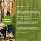 Dog liver support supplement by Rooted Owl Pet Supplements, featuring a bottle of liver health chews for dogs.