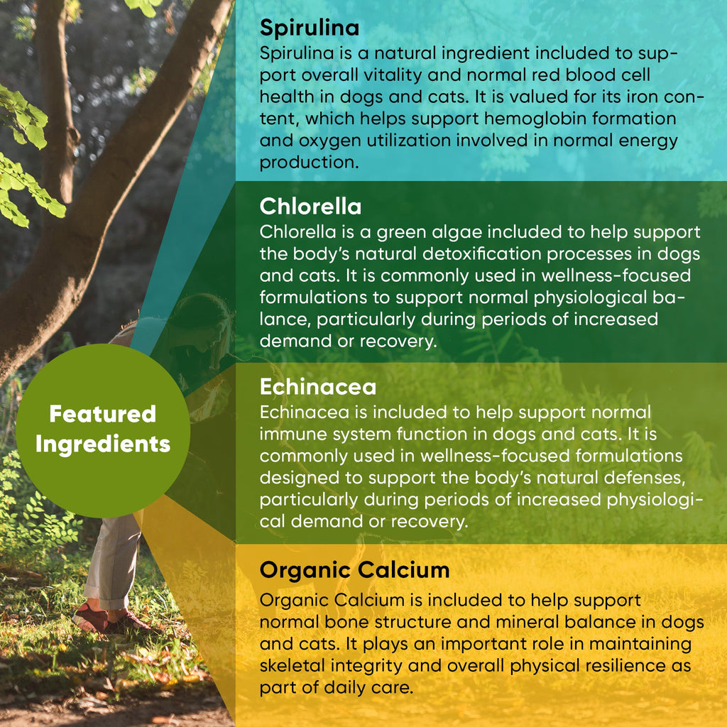 Container of Rooted Owl Pet Supplements Spirulina and Chlorella powder for cats and dogs, showing vibrant green algae supplements.