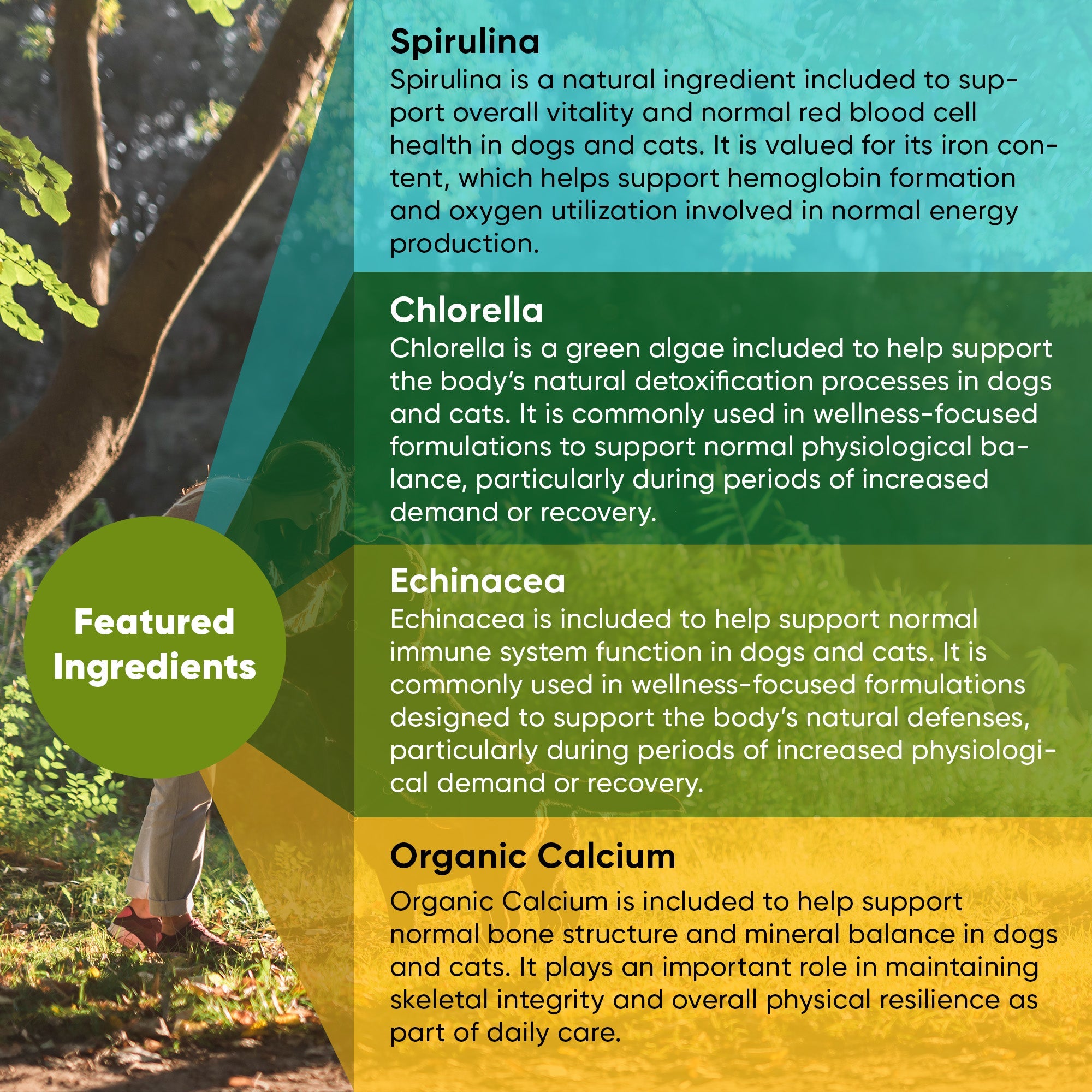 Container of Rooted Owl Pet Supplements Spirulina and Chlorella powder for cats and dogs, showing vibrant green algae supplements.