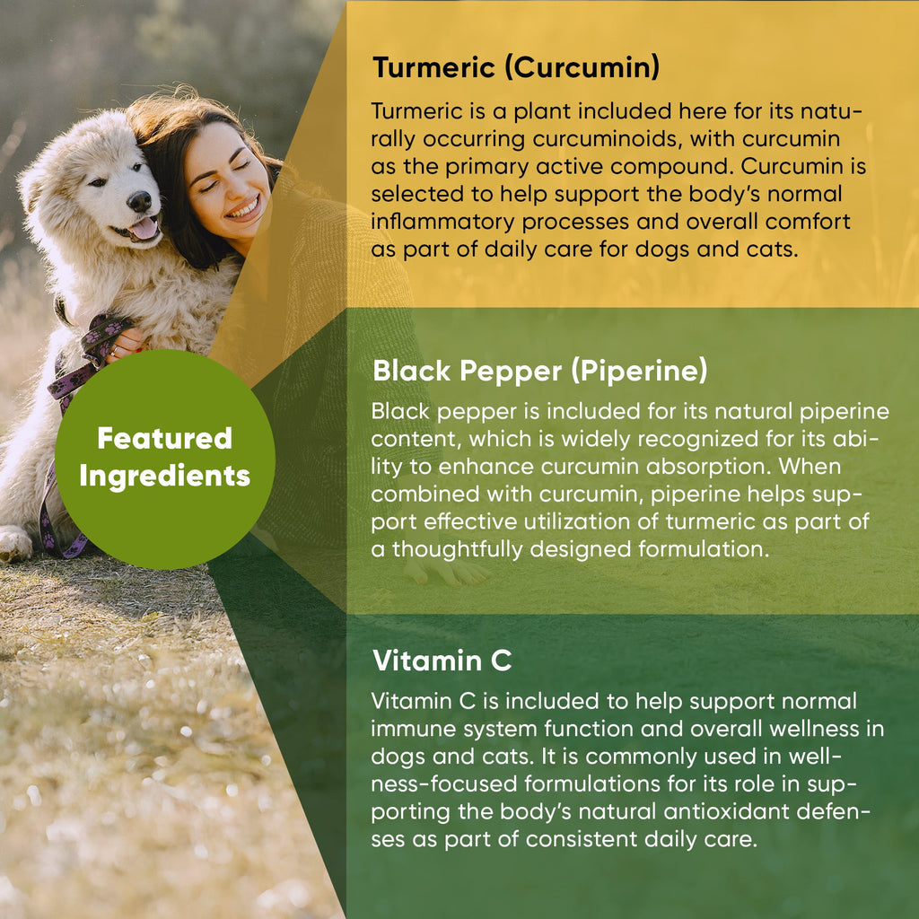Container of Rooted Owl Pet Supplements turmeric for cats and dogs, showing the supplement powder in a clear jar.