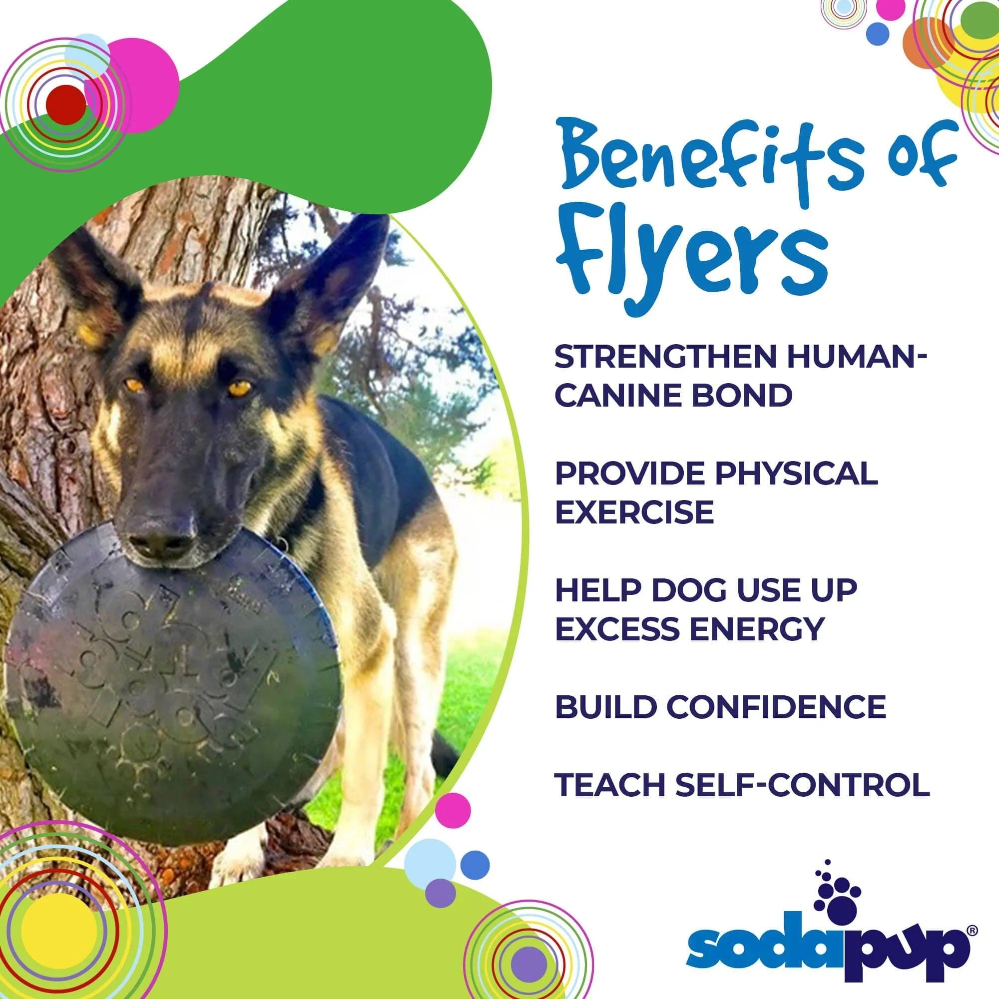 Black Rubber Dog Frisbee by SodaPup, large Magnum bottle top flyer toy for heavy chewers, USA made durable dog toy