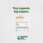 Dog supplement bottle labeled Cardio Support by Rooted Owl Pet Supplements, designed for canine heart health and vitality