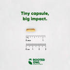 Dog-friendly liver support supplement by Rooted Owl Pet Supplements, featuring natural ingredients for canine liver health.