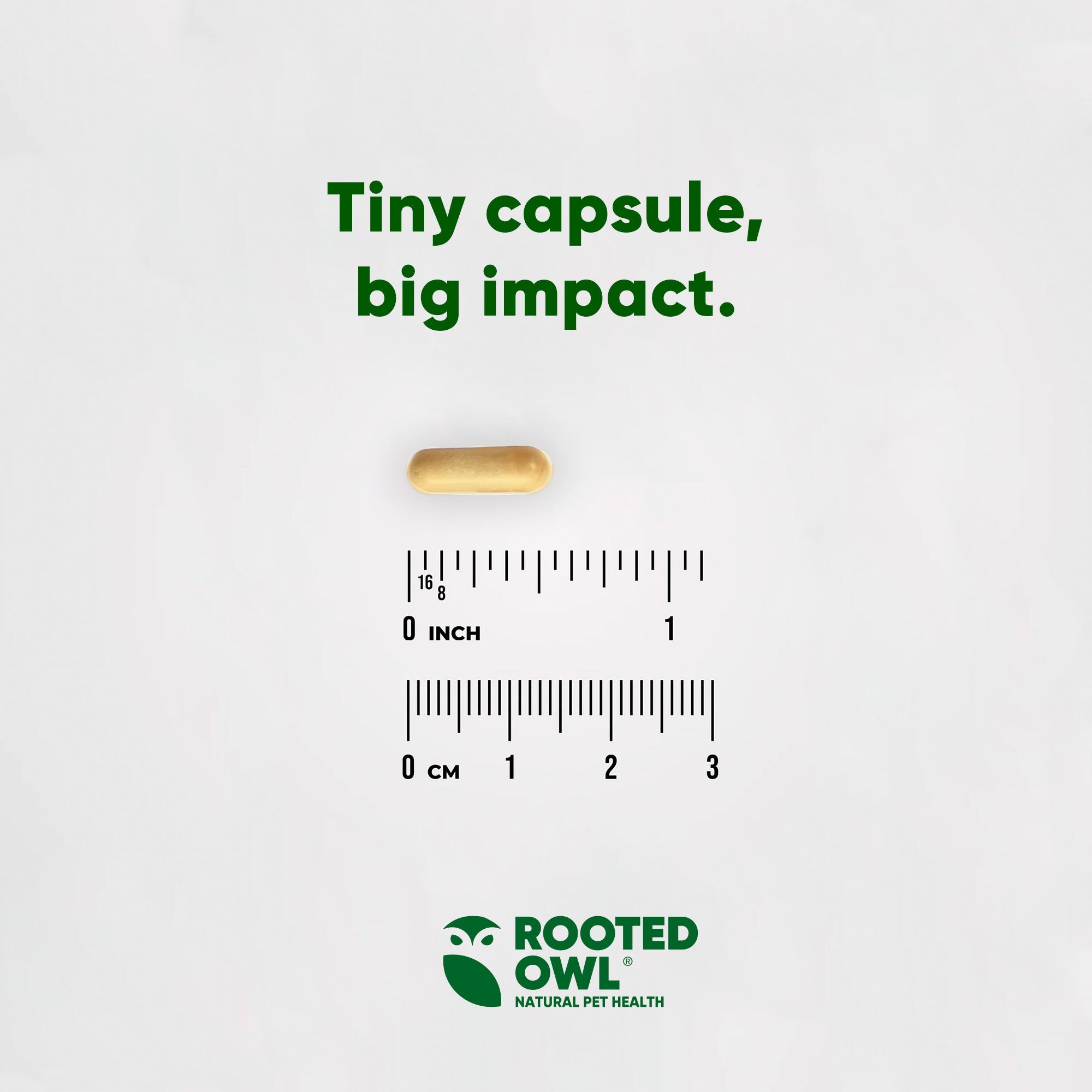 Dog-friendly liver support supplement by Rooted Owl Pet Supplements, featuring natural ingredients for canine liver health.