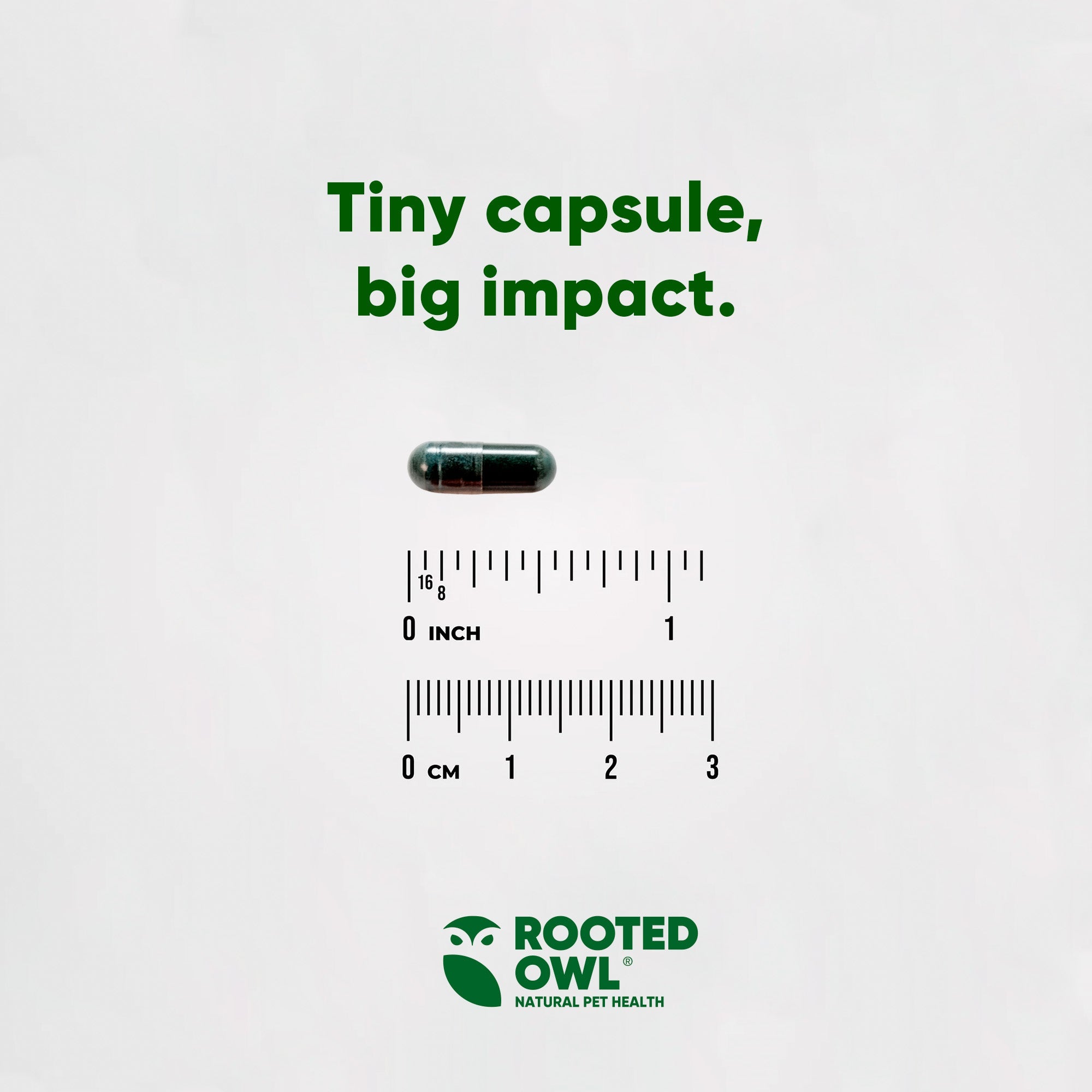 Powder of Spirulina and Chlorella supplement for cats and dogs by Rooted Owl Pet Supplements, shown in a clear container.