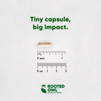 Rooted Owl Pet Supplements weight management supplement for cats and dogs, featuring natural ingredients in a clear bottle.