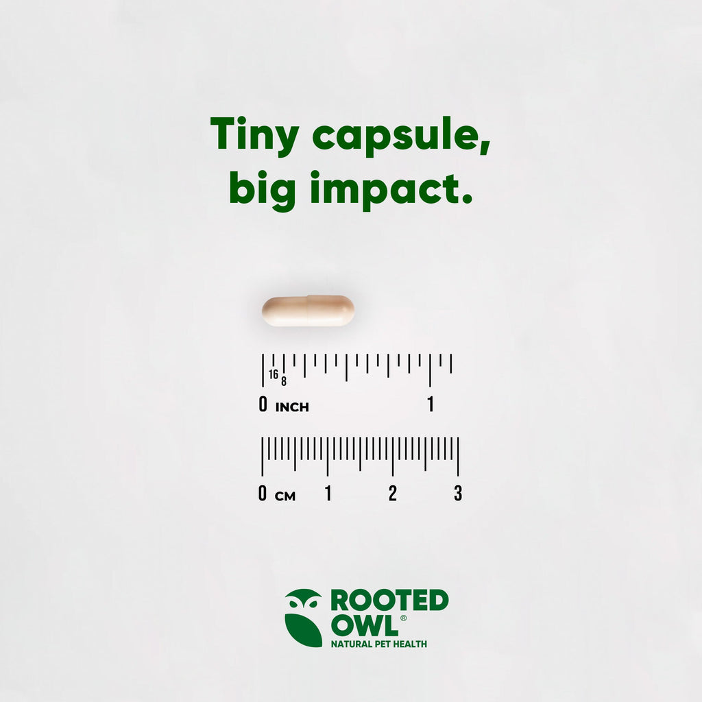 Rooted Owl Pet Supplements joint and muscle health supplement for cats and small dogs, featuring natural ingredients and easy-to-administer form.
