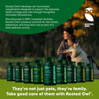 Rooted Owl Pet Supplements turmeric for cats and dogs, showing a jar of supplement powder with a natural, healthy ingredients display.