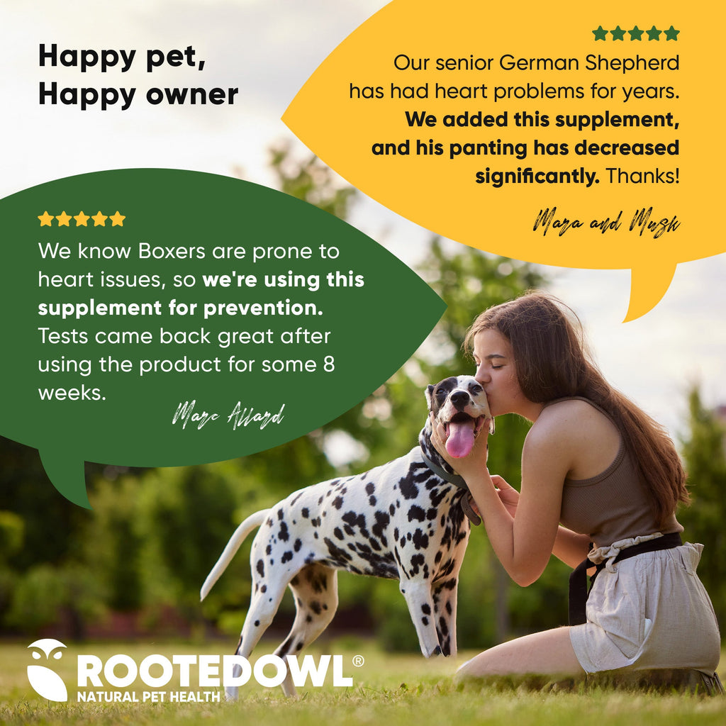 Dog supplement container labeled Cardio Support by Rooted Owl Pet Supplements, designed to promote canine heart health.