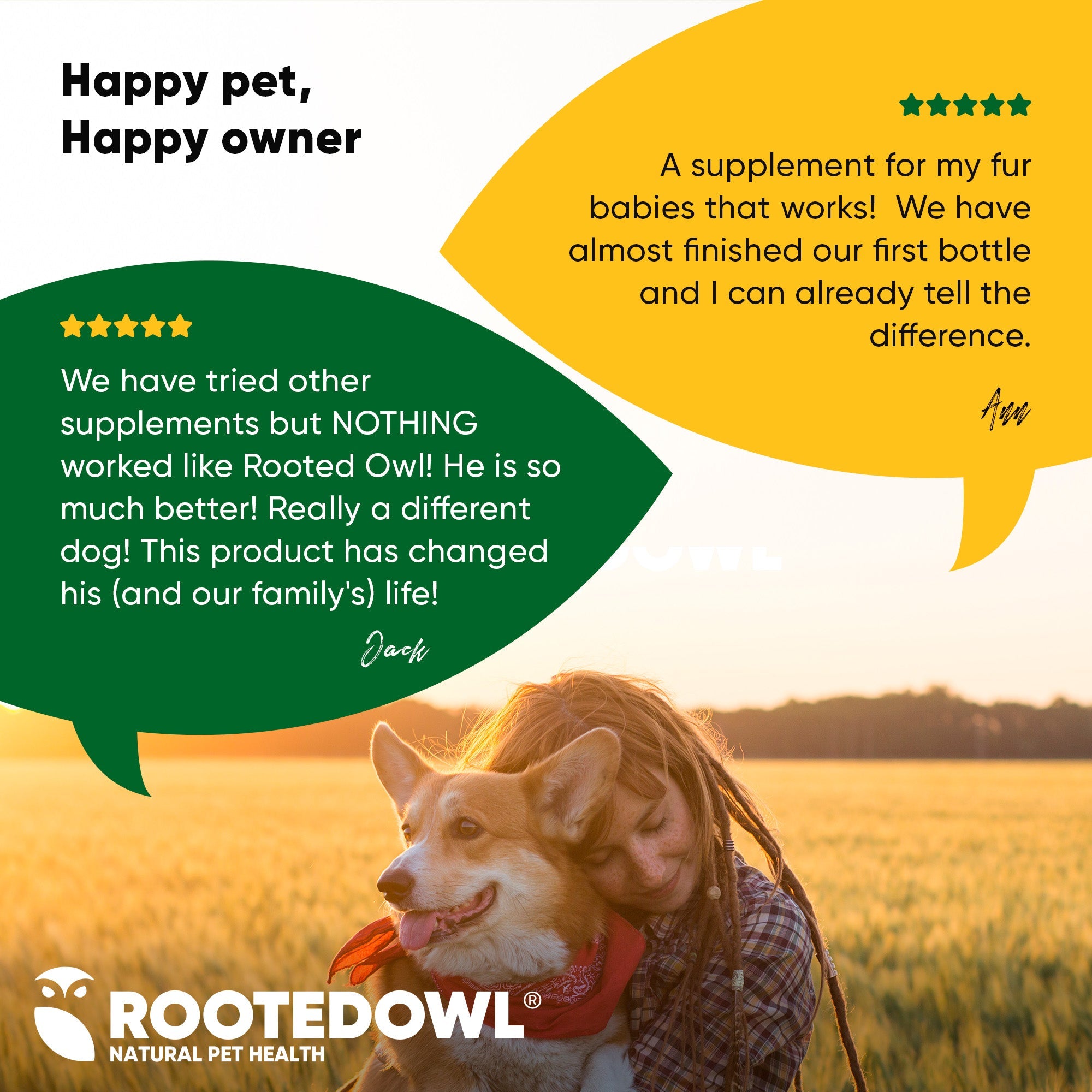 Rooted Owl Pet Supplements joint and muscle health supplement for cats and small dogs, showing the product packaging and capsules.