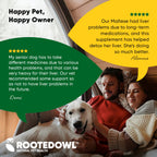 Dog liver support supplement by Rooted Owl Pet Supplements, featuring a bottle with label and six capsules on a neutral background.