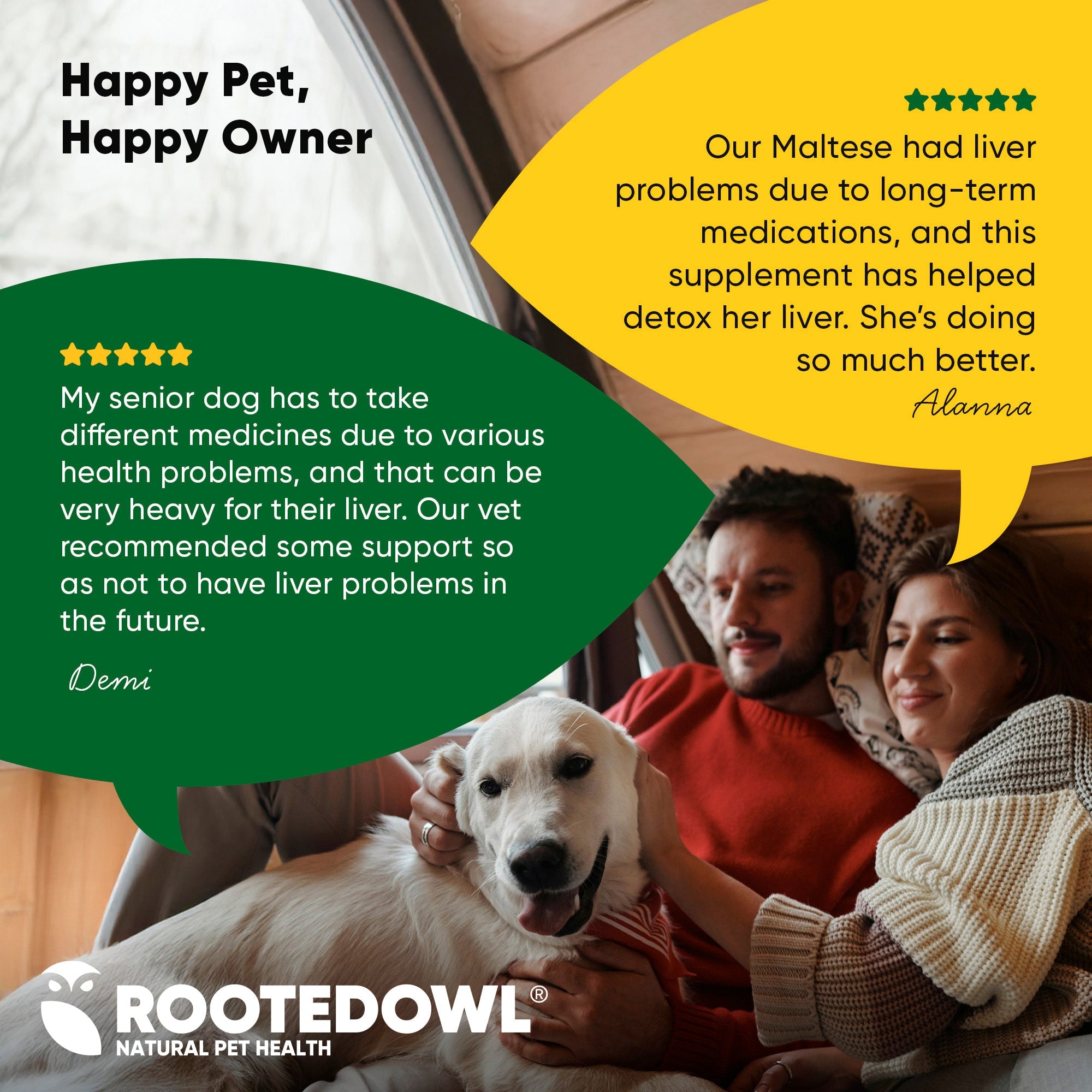 Dog liver support supplement by Rooted Owl Pet Supplements, featuring a bottle with label and six capsules on a neutral background.