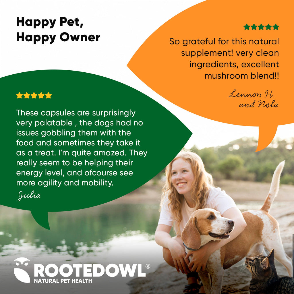 Natural Immunity supplement for cats and dogs by Rooted Owl Pet Supplements, featuring natural ingredients for immune support.