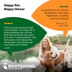 Natural Immunity supplement for cats and dogs by Rooted Owl Pet Supplements, featuring natural ingredients for immune support.