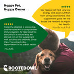 Container of Rooted Owl Pet Supplements Spirulina and Chlorella powder for cats and dogs, in a clear jar with a green label.
