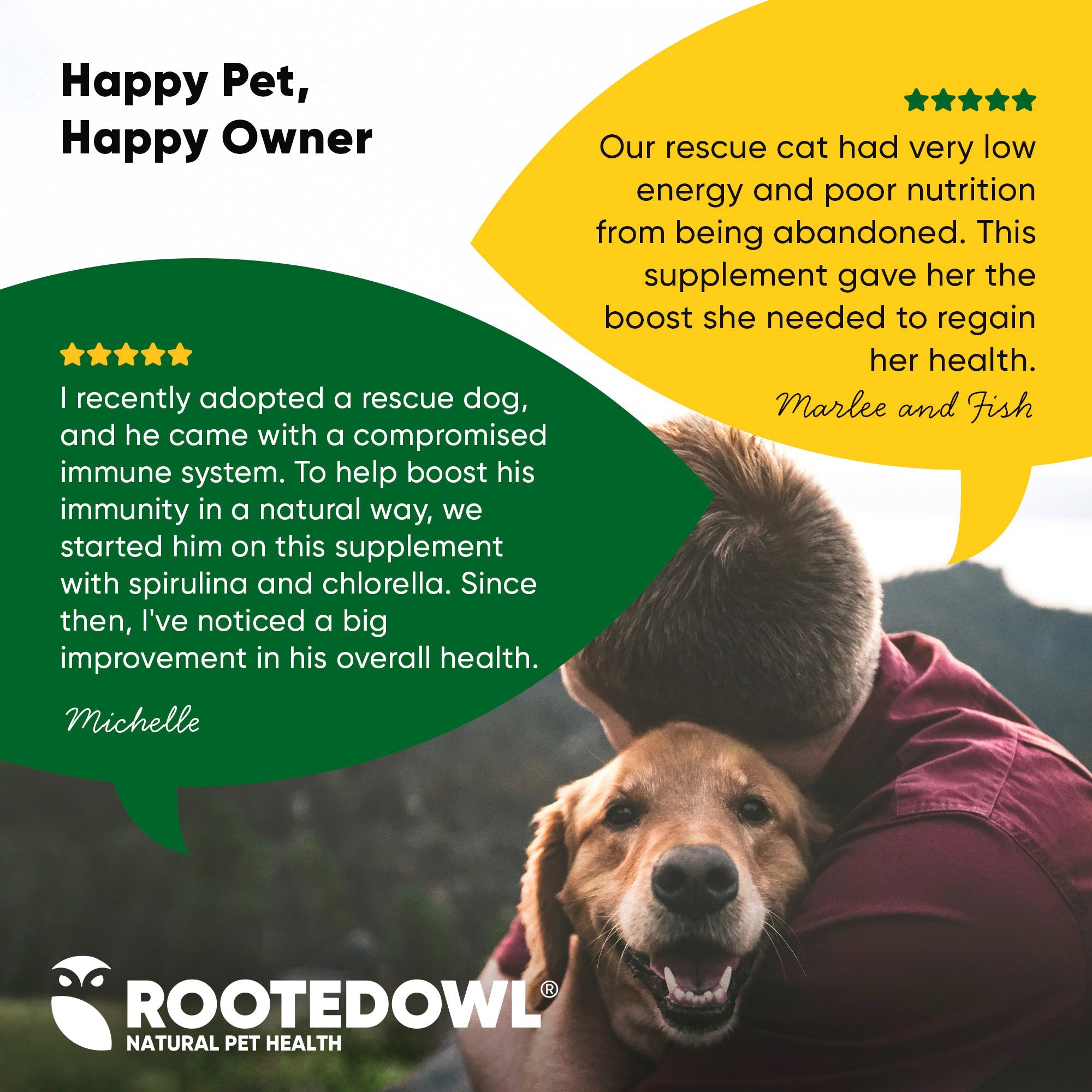 Container of Rooted Owl Pet Supplements Spirulina and Chlorella powder for cats and dogs, in a clear jar with a green label.