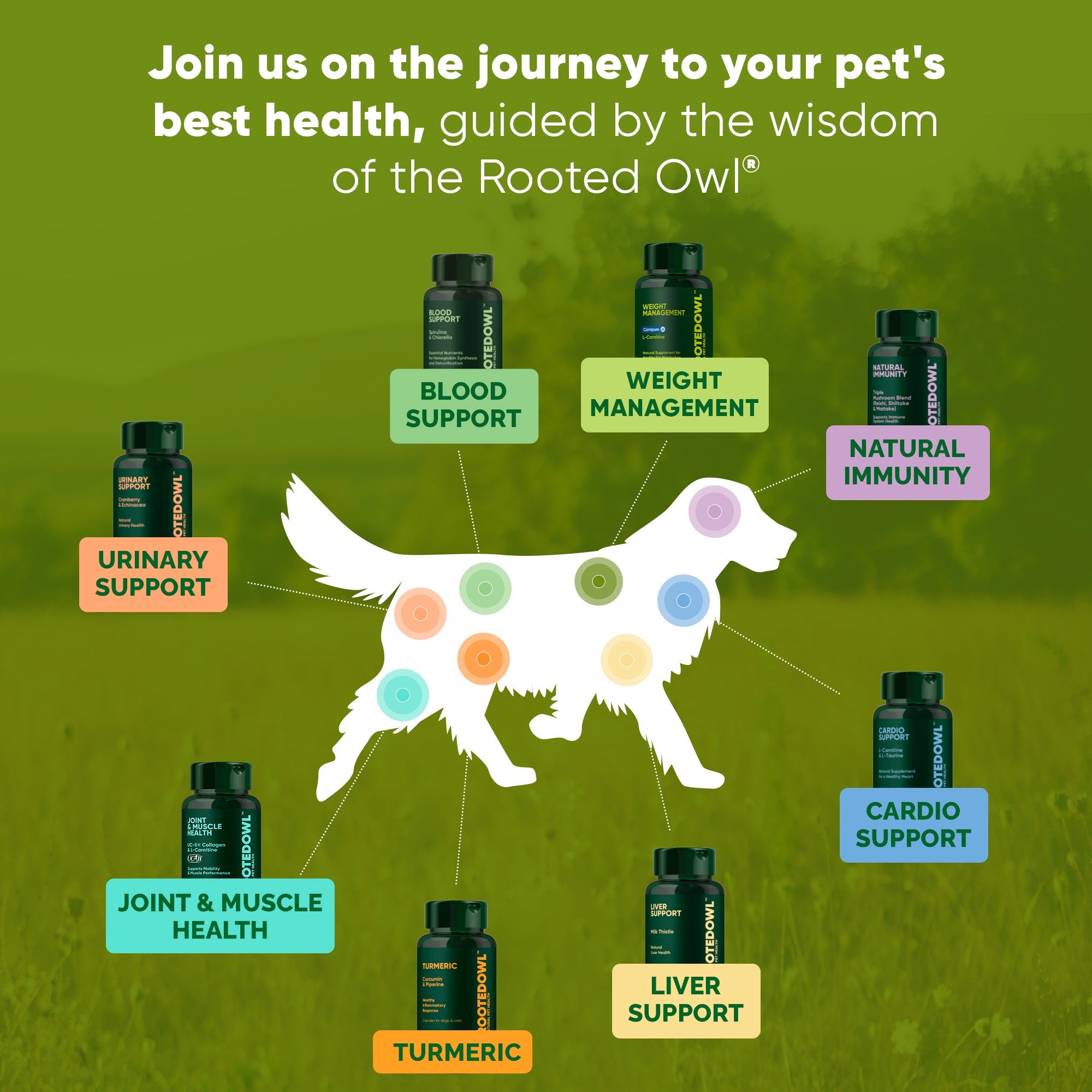 Dog liver support supplement from Rooted Owl Pet Supplements, featuring capsules or tablets for canine liver health.