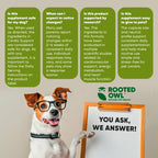 Dog receiving Cardio Support supplement from Rooted Owl Pet Supplements, showing a healthy, active canine.