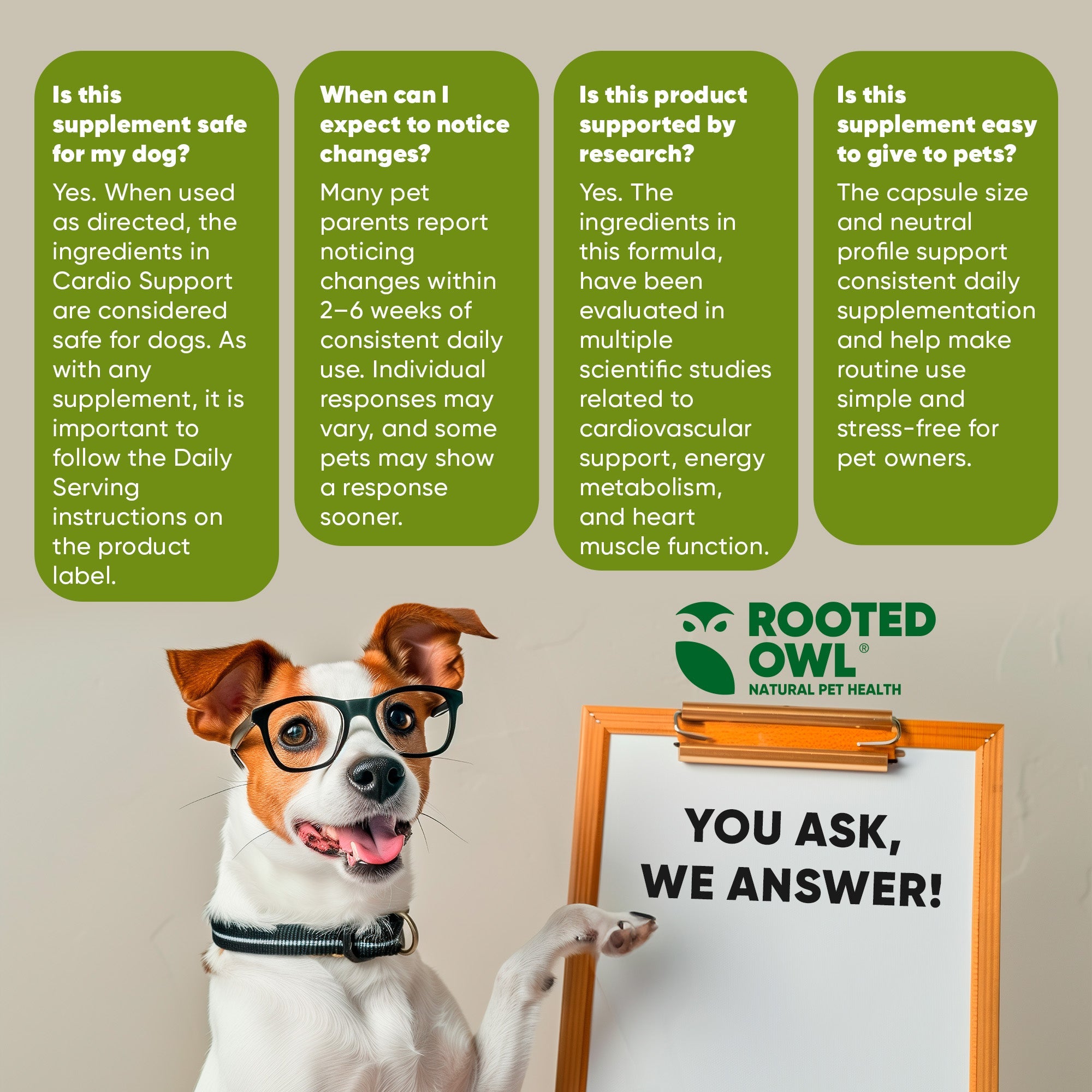 Dog receiving Cardio Support supplement from Rooted Owl Pet Supplements, showing a healthy, active canine.