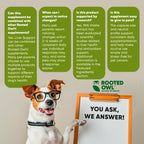 Dog liver support supplement from Rooted Owl Pet Supplements, featuring a container with label and dog-friendly packaging.
