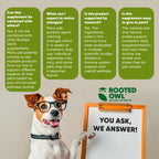 Bottle of Rooted Owl Pet Supplements Natural Immunity for cats and dogs, featuring natural ingredients in a clear container.