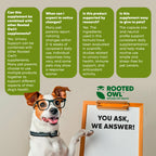 Dog urinary support supplement from Rooted Owl Pet Supplements, featuring capsules with natural ingredients for canine urinary health.