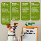 Rooted Owl Pet Supplements weight management supplement for cats and dogs, showing packaging and dosage instructions.