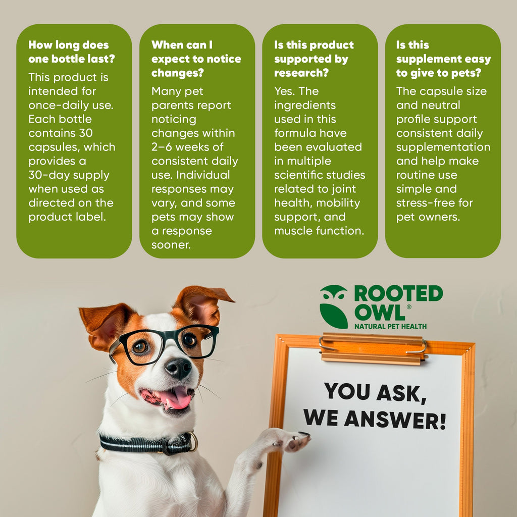 Rooted Owl Pet Supplements joint and muscle health supplement for cats and small dogs, showing the product bottle and packaging.