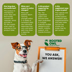 Rooted Owl Pet Supplements joint and muscle health supplement for cats and small dogs, showing the product bottle and packaging.