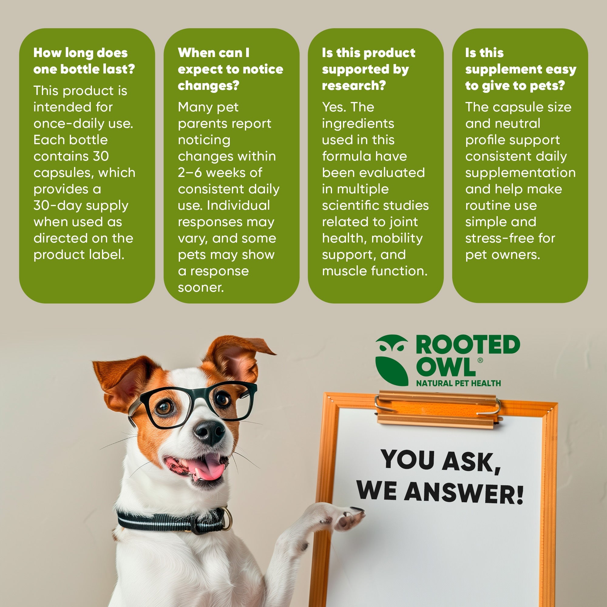 Rooted Owl Pet Supplements joint and muscle health supplement for cats and small dogs, showing the product bottle and packaging.