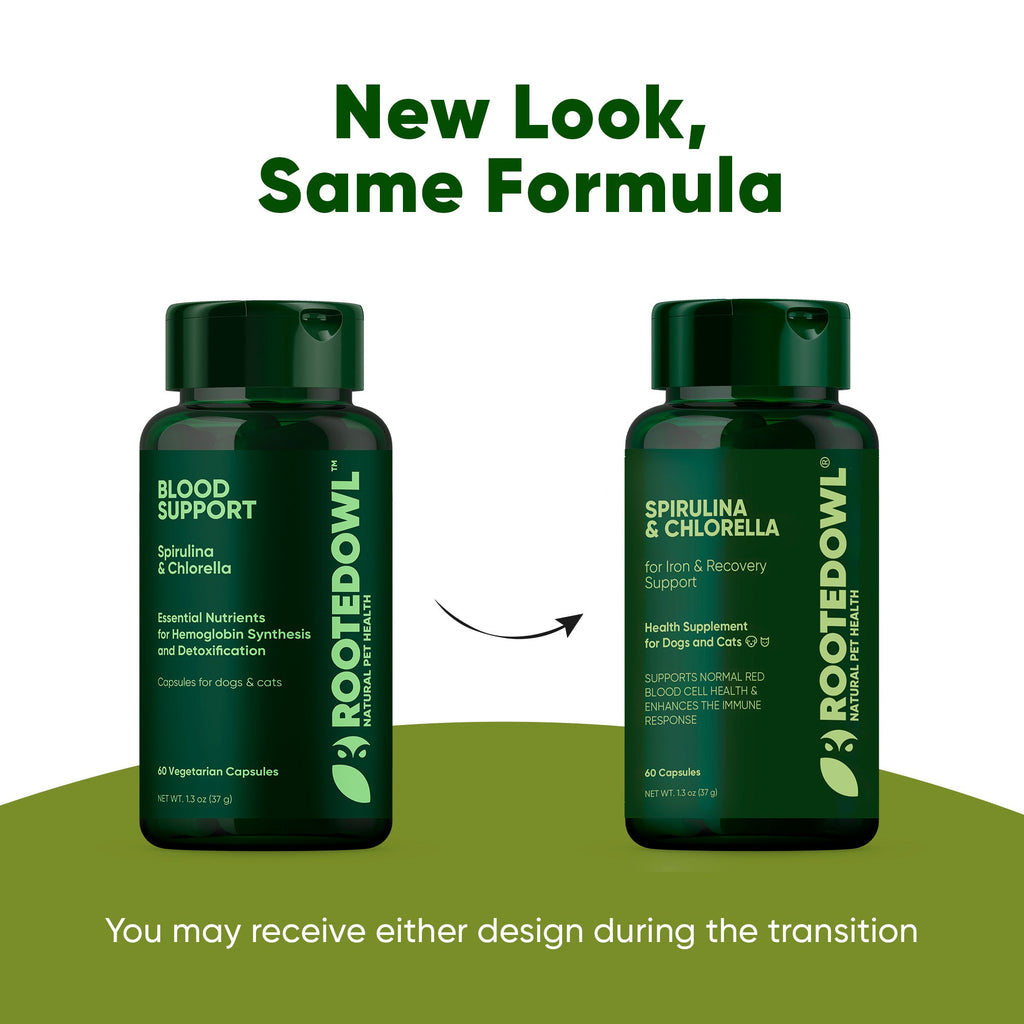 Container of Rooted Owl Pet Supplements Spirulina & Chlorella for cats and dogs, showing green powdered supplement inside.