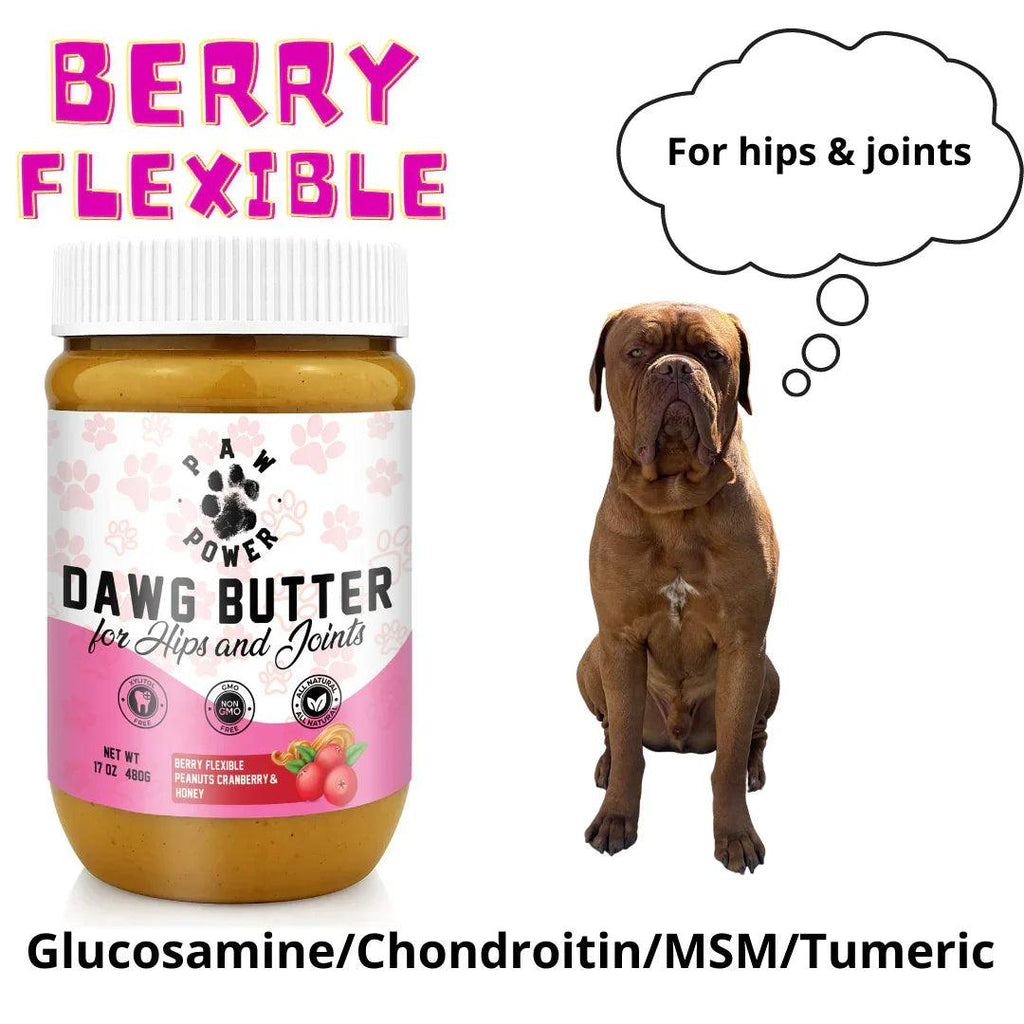 Paw Power Nutrition Dawg Butter Berry Flexible supplement for dog hips and joints, featuring a berry-flavored soft chew.