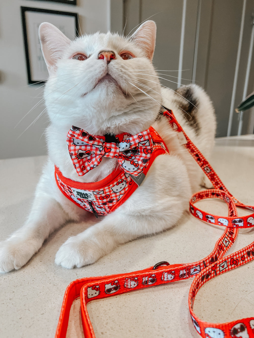 Red Hello Kitty cat step-in harness by Sassy Woof, featuring a cute Hello Kitty design on a pet collar and harness.