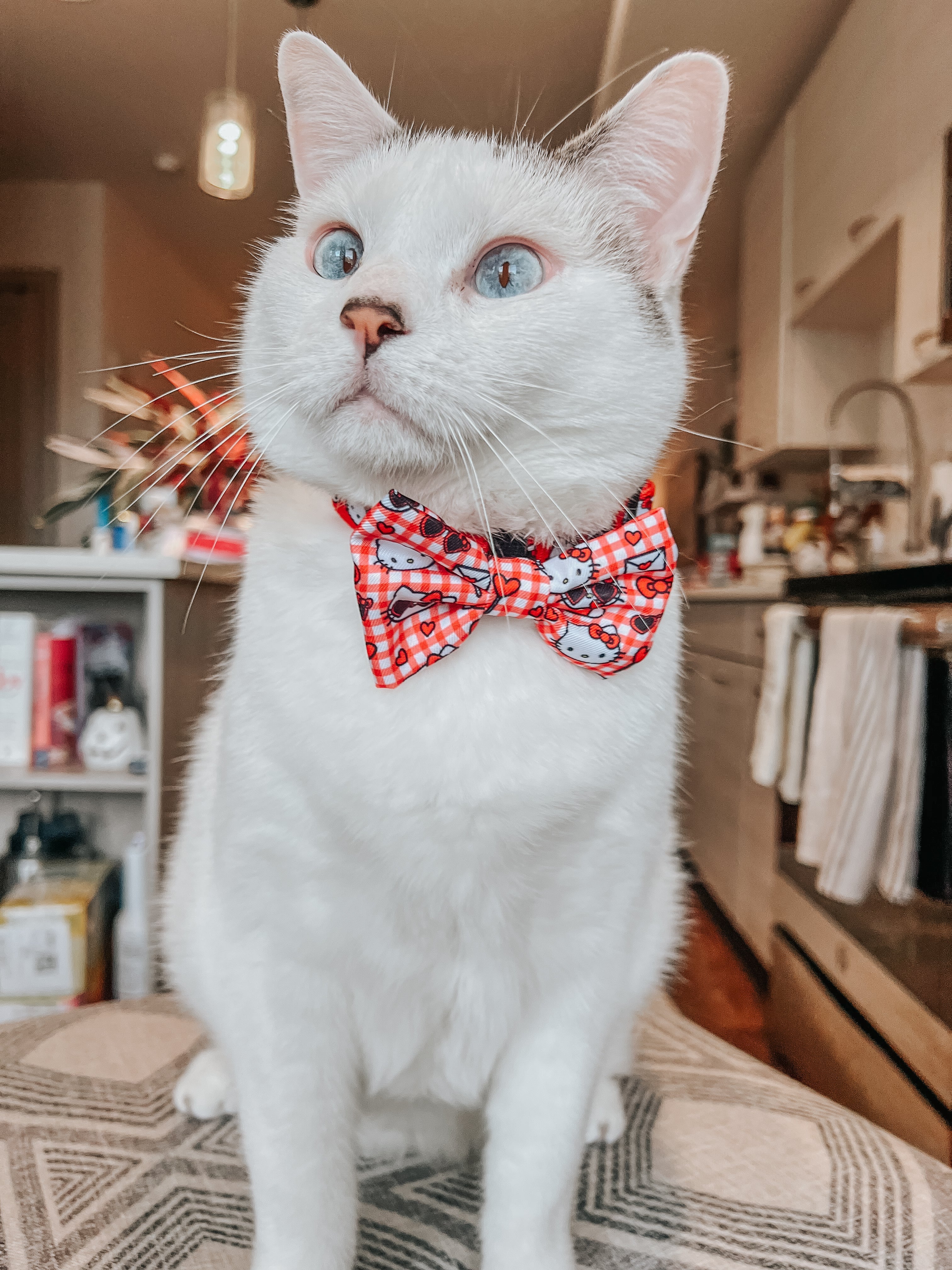Red Hello Kitty® cat bowtie from Sassy Woof, stylish pet accessory with classic design, featuring a cute Hello Kitty motif.